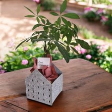 Dekoratif Keçe Saksı ve Organizer Sepet – Gri, 20X20X25 Cm, 3 mm Kalınlıkta Çok Amaçlı Keçe Saklama Kutusu (1 Adet)