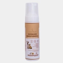 Die Grup Durulamasız Kuru Köpük Şampuan ve Nemlendirici (200 Ml)