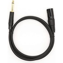 Die Grup Xlr Erkek ve 6.35MM Erkek Kablo, 2 Metre Uzunlukta