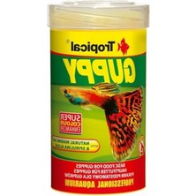 Die Grup Lepistes Için Besleyici Pul Yem - 100 ml