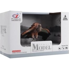 Kutulu Model Figür Hayvan Akbaba
