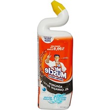 Die Grup 750 ml Marine Kokulu Tuvalet Temizleyici - Çamaşır Suyu Katkılı