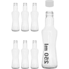 Die Grup 250 ml Kapasiteye Sahip Şeffaf Cam Şişe Seti (6 Adet)