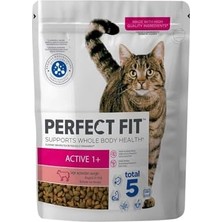 Tech Butiq Perfect Fit Yetişkin Sığırlı Kuru Mama 750 G