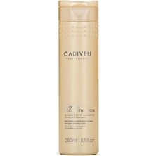 Omrs Store Professıonal Blonde Reconstructor Renk Koruyucu Şampuan, 250ML