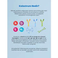 Omrs Store Krem
