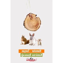 Die Grup Tavşan ve Hamsterlar Için Kemirme Oyuncağı, Eğlenceli ve Dayanıklı