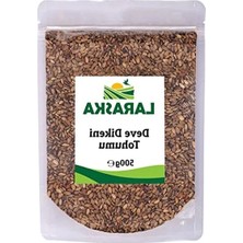 Die Grup 500G Deve Dikeni Tohumu, Sağlıklı Bahçe Bitkisi, Besleyici Özellik