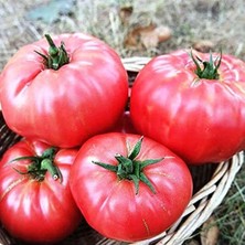 Die Grup Yerli Dilimli Pembe Köy Domatesi Tohumu, 100 Adet, Ekonomik Paket