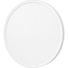 Omrs Store Smart Ceiling Light D20
