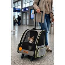 Reyo Brave Paws 2 Tekerlekli Yırtılmaz Plastik Fileli Kedi ve Köpek Taşıma Çantası, Kedi Sırt Taşıma Çantası Gri