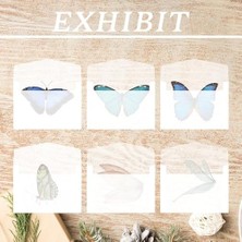 Tech Butiq Selofan Zarf Cellophane Envelope, 100 Adet 7X10 cm Şeffaf Kağıt, Glazin Koleksiyon Malzemeleri, Madeni Para ve Pul ile Tohum Paketi Için Küçük Zarflar, Düğün Hediyesi Saklama Çantası