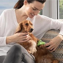 Die Grup Uzun Tüylü Köpekler Için Tüy Toplayıcı Tarak, Küçük Boy