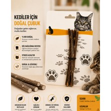 Kotenart Kediler Için Doğal Çiğneme Çubuğu – %100 Doğal Ahşap Kedi Oyuncağı 3 Adet