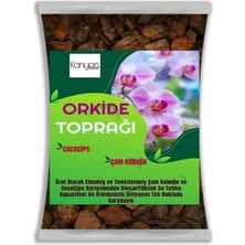 ByKurt Ithal Çam Kabuğu Karışımı ile Orkide Toprağı Değiştirme - 10 Litre