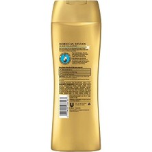 Tech Butiq Suave Fas Argan Yağlı Parlaklık Şampuanı 373ML