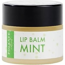 Tech Butiq Polente Natural - Naneli Lip Balm - Nemlendirici Dudak Kremi (10 Ml)