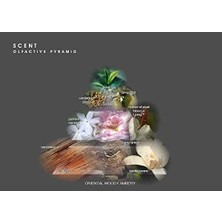 Tech Butiq Costume Scent Edp Natural Spray 100 ml Kadın Parfüm 1 Paket (1 x 100 Ml)