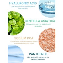 Tech Butiq The Vivia Yoğun Nemlendirici, Dolgunlaştırıcı, Yenileyici ve Onarıcı Cilt Serumu Hyaluronic Acid, 30 ml