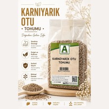 AKTARZANE Karnıyarık Otu (Psyllium) 100% Doğal Yüksek Lif Kaynağı 1 kg