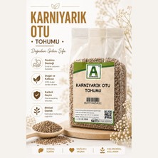 AKTARZANE Karnıyarık Otu (Psyllium) 100% Doğal Yüksek Lif Kaynağı 250 gr