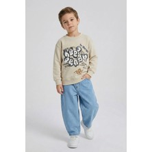 Dmb Boys & Girls Erkek Çocuk Denim Kot Pantolon Mavi 2-7 Yaş