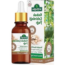 Die Grup Kabak Çekirdeği Yağı 20 ml ile Doğal Beslenme