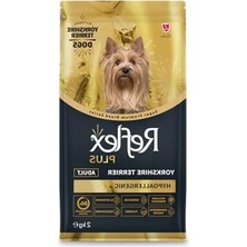 Die Grup Yorkshire Terrier Yetişkin Köpek Maması, 2 kg Lezzetli ve Besleyici