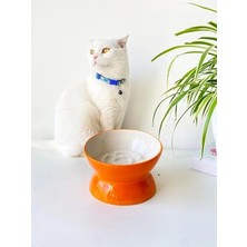 Die Grup Turuncu Seramik Yavaş Yeme Kedi Mama Kabı, Estetik Tasarım