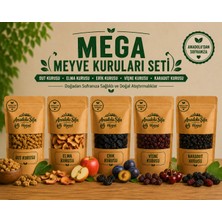 Anadolu Şifa Harput Doğal Kurutulmuş Meyve Seti Dut, Karadut, Vişne, Erik ve Elma 100 gr X5