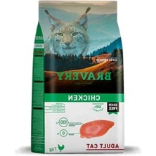 Die Grup 2 kg Kapasiteli Tavuklu Yetişkin Kedi Maması