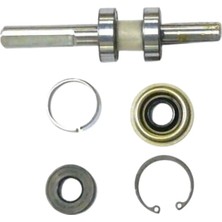 Mercury V8 Devirdaim Tamir Kiti (8M0140001)