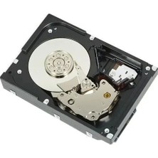 Dell 2tb 3.5" 400-BLLG 7200 Rpm Enterprise Sata-3 Nas ve Güvenlik Diski