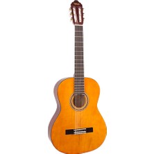 Valencia Valencıa VC104 Klasik Gitar 4/4 + Kılıf + Pena