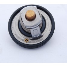 Ford Fiesta 2002/ Benzinli Termostat