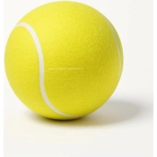 Die Grup Büyük Irklar Için Dayanıklı Tenis Topu, 14 Cm, Parlak Renk