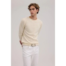 Jakamen Bej Slim Fit Desenli Bisiklet Yaka Triko