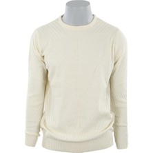 Jakamen Bej Slim Fit Desenli Bisiklet Yaka Triko
