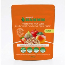 Hammm Freeze Dried Energy Mix Incir Çilek Mango Elma 20 gr
