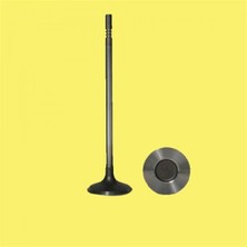 Güneş Depomix Subap Emme Eksoz P106-P306-P406 1.8-2.0 16V In-8/ex-8