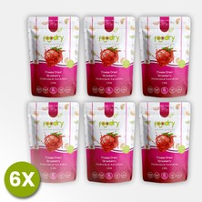Foodry Freeze-Dry Çilek (Freeze Dried Strawberry) | Dondurularak Kurutulmuş Meyve Kurusu 17G*6