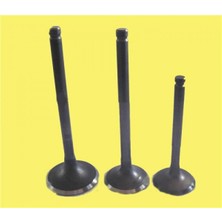 Güneş Depomix Subap Emme Eksoz Vectra 1.8-Astra 2.0i-Omega 8V In-4/ex-4