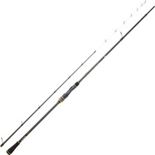 Team Daiwa Tenya Sp 1.92M Max 300GR 2p Kamış