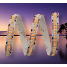 Cata Ct-4538 Gold İç Mekan 12 W 240 Çipli Yüksek Lumen Şerit Led Günışığı Renk