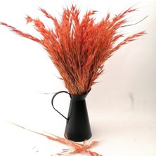 Hidden Botanics Kuru Çiçek Turuncu Yulaf Otu  Bohem Ev Dekoru İçin 45 cm Şoklanmış Vazo Çiçeği