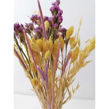 Hidden Botanics Kuru Çiçek Vazo Çiçekleri Şoklanmış Statis Kurutulmuş Yulaf Palaris Kuş Otu 60 Sap 45CM