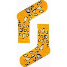 Carnaval Socks Penguen Desenli Renkli Çorap