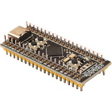 Gollum Teknoloji STM32F401CCU6 Blackpill Geliştirme Kartı Pinler Lehimli