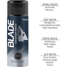 Die Grup Mountain Fresh Erkek Deodorant 150ML Leke Bırakmaz