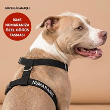 Lusi Doog Güvenlik Amaçlı Numaralı Isimli Köpek Göğüs Tasması Kişiye Özel Göğüs Tasması (Nakışlı)